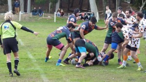 camarones
