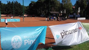 tenis