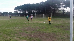 torneos