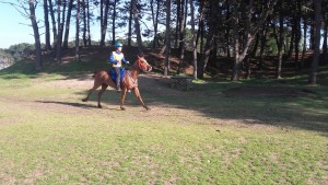 endurance