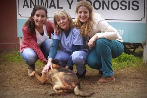 zoonosis