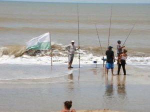 pesca
