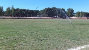 lanus