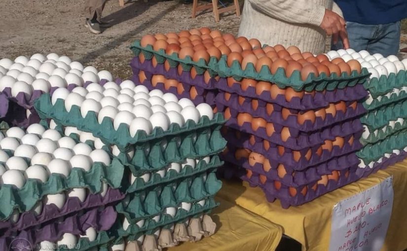 Madariaga: El Mercado de la Estación se realizará en el Parque Anchorena